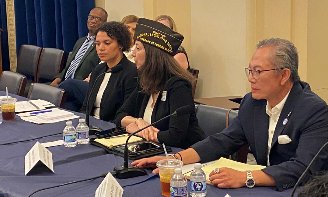 VFW and Takano Roundtable June 2025