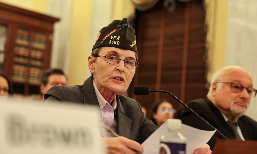 Nancy Springer Senate Committee on Veterans’ Affairs hearing on pending legislation Dec 2025