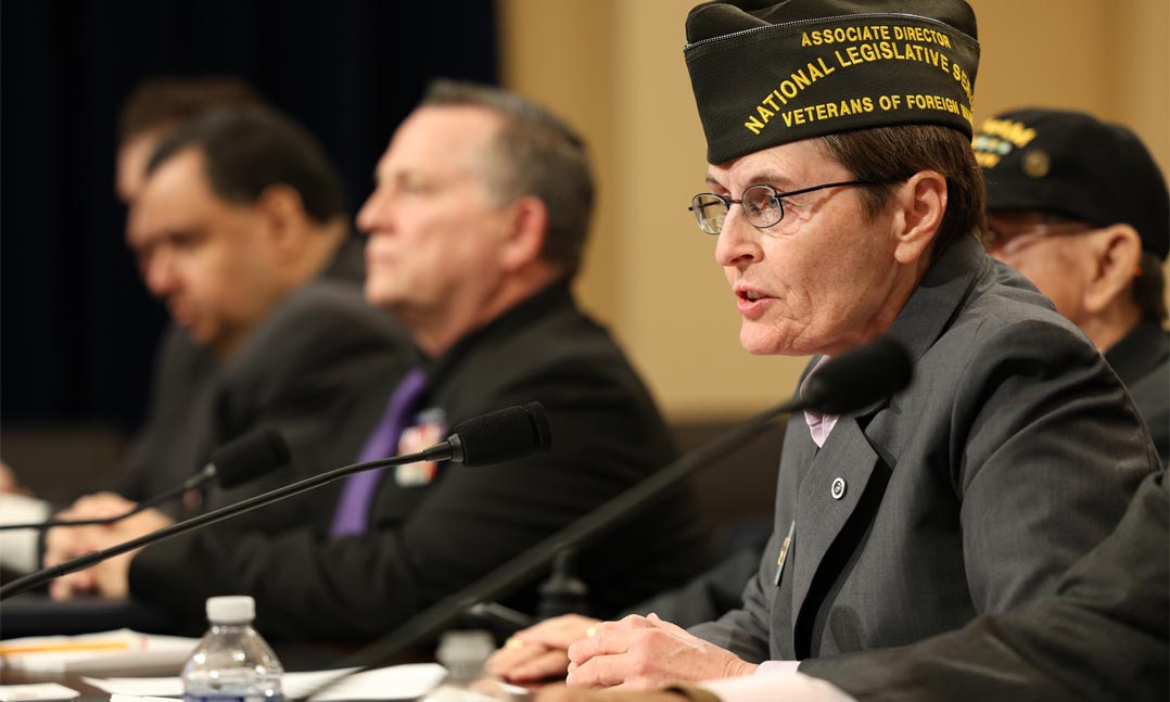 VFW testimony Nancy