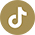 TikTok Logo