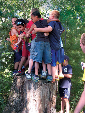 A Diamond in the Woods