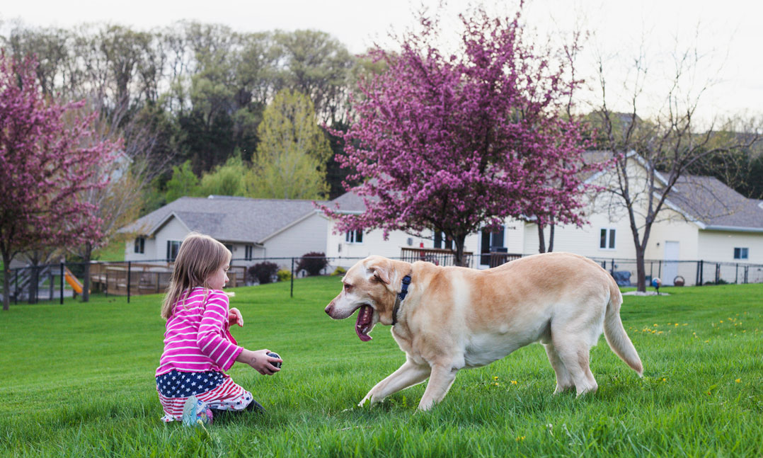 Pet Prescriptions