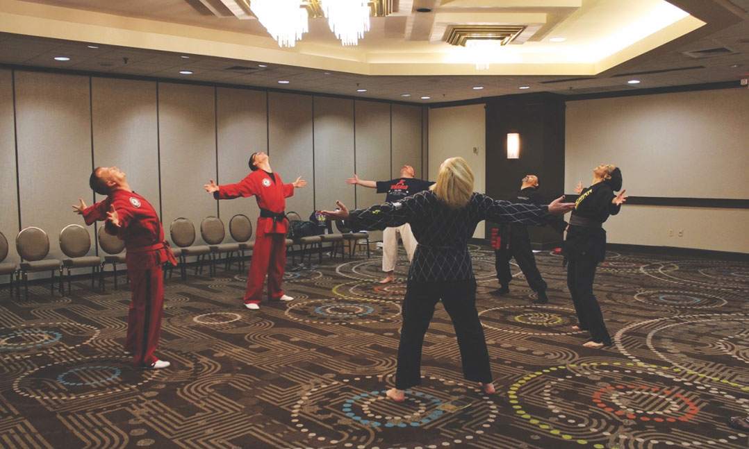 Veterans practicing martial arts