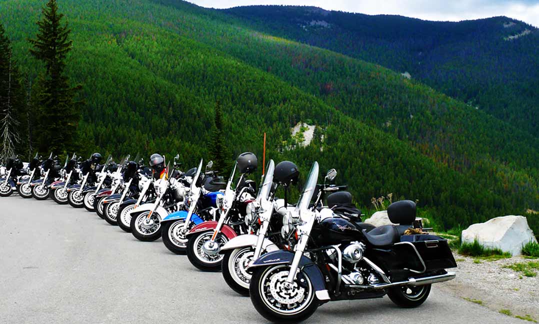 line of motorcycles in forest hills