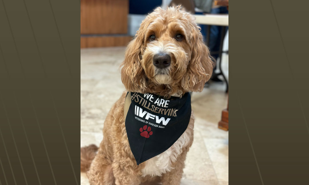 Service dog Killian