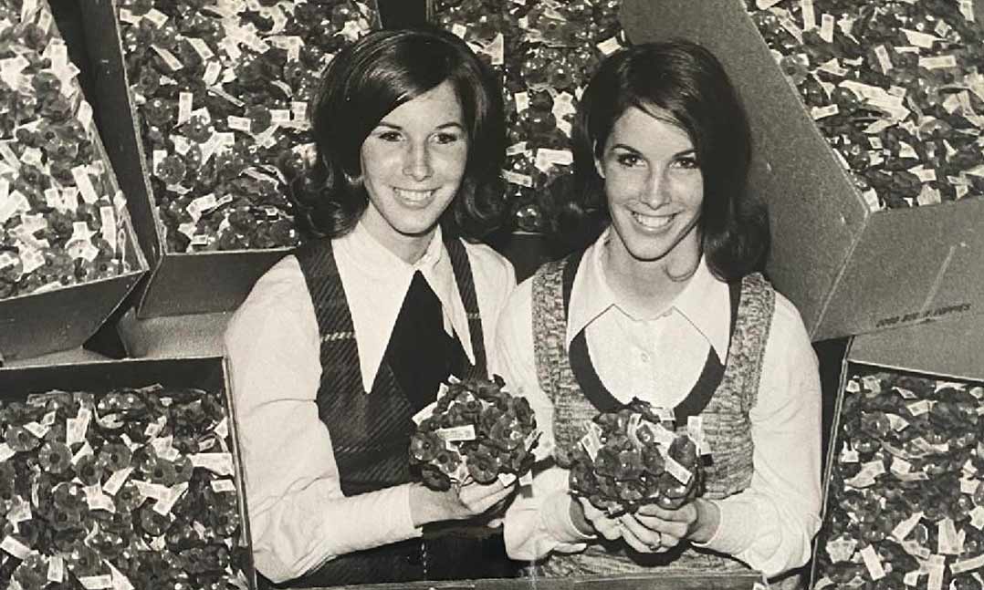 Twins Cathy and Peggy Smith prepare for the distribution of 50,000 VFWBuddy Poppies on Veterans Day 1970