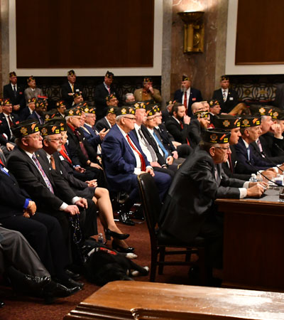 VFW Testimony