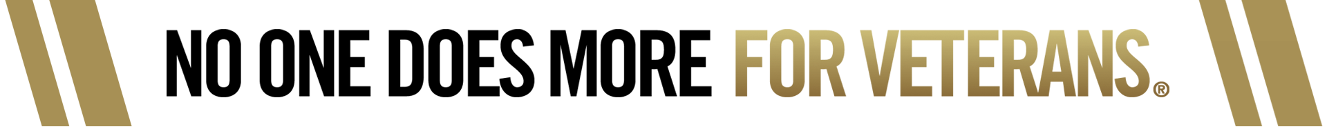 VFW Slogan Landing Pages